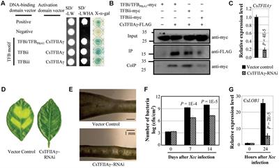 A Conserved Basal Transcription Factor Is Required for the Function of Diverse TAL Effectors in Multiple Plant Hosts
